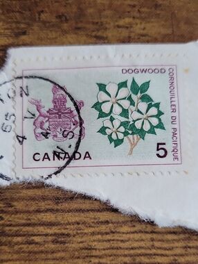 Vintage Canada Dogwood Floral Stamp Accessory – White & Green